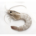 ΓΑΡΙΔΑ VANAMEI 20/30 ΑΠΟΦΛ/ΝΕΣ ΜΕ ΚΕΦΑΛΙ ΚΑΙ ΟΥΡΑ ΚΤΨ 1 ΚΙΛ - Image 1